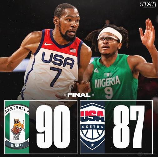 美国vs尼日利亚回放